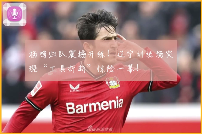 杨鸣归队震撼开练！辽宁训练场突现“工具折断”惊险一幕！
